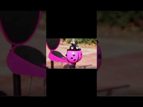 Video Patineta cucarrón 5 en 1 0336PC muchi