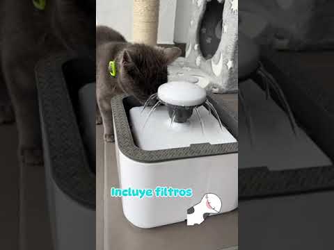Fuente de agua para gatos y perros