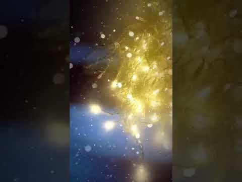 Video Cortina x 200L muchi