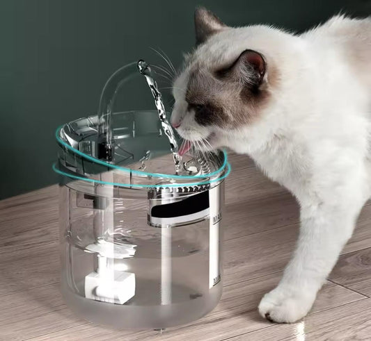 Fuente Para Mascotas Transparente